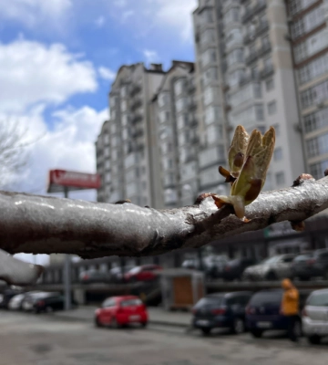 Прогноз погоди по Івано-Франківську та області на 13 квітня 2025 року