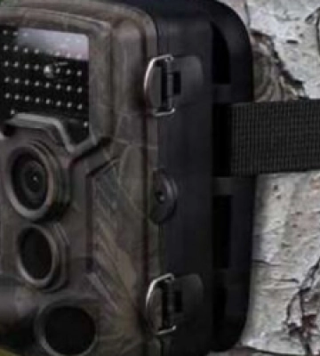 Мешканців громад застерігають від викидання сміття у невстановлених місцях: там працюють фотопастки