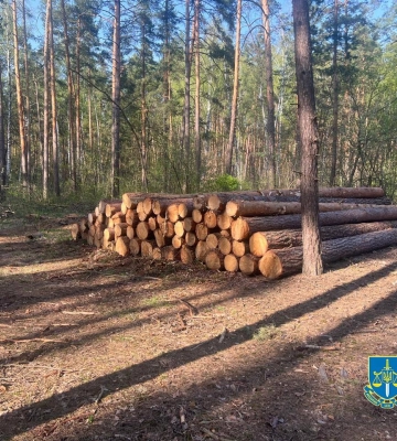 На Сумщині у ландшафтному парку нарубали дров на 6 млн грн