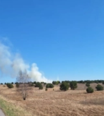 На Волині горіли чагарники та суха трава