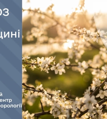 Заморозки позаду? На Рівненщину повертається довгоочікуване тепло