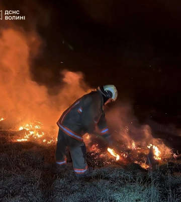 За вихідні на Рівненщині сталося 17 пожеж на відкритих територіях (ВІДЕО)