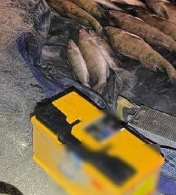 На Полтавщині викрито браконьєрів із електровудкою: завдано збитків на понад 380 тисяч гривень