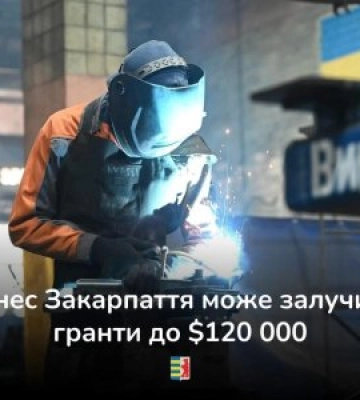 Бізнес Закарпаття та організації, які працюють над підтримкою підприємництва в регіоні