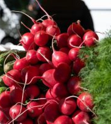 15–19 квітня у столиці пройдуть продуктові сільськогосподарські ярмарки: перелік локацій