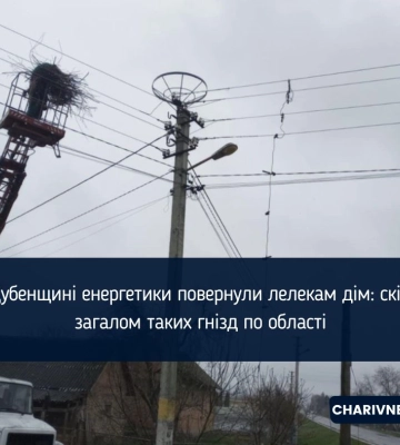 На Рівненщині енергетики повернули лелекам дім