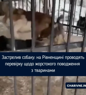 На Рівненщині поліцейські проводять перевірку щодо жорстокого поводження з тваринами