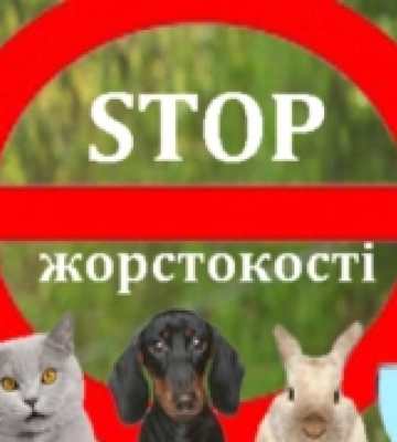 Поліція Рівненщини розслідує жорстоке поводження з тваринами
