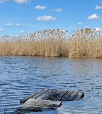 На Полтавщині прогнозують до 19º тепла