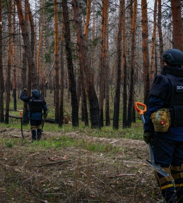 Протипопехотное минное поле обнаружили в популярном лесу на Харьковщине 