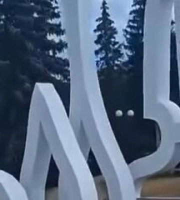 У Полтавському педуніверситеті відбувся День відкритих дверей
