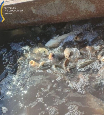 Черкащанин перевозив 400 кілограмів незаконно виловленої риби