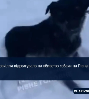 Міндовкілля відреагувало на вбивство собаки на Рівненщині