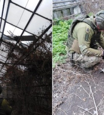 У Сумах поліція знешкодила ворожий дрон із міною, що застряг у теплиці