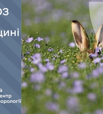 Вранці на Рівненщині дощитиме