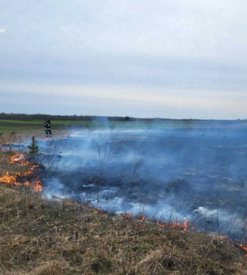 На Ковельщині палії ледве не спалили ліс 