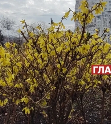 Мінлива хмарність: прогноз погоди на 16 квітня