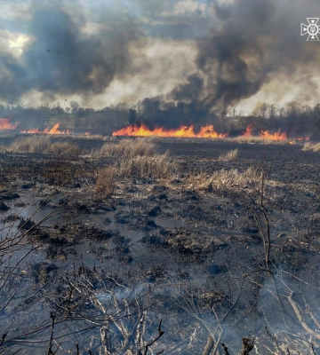 На Черкащині пожежі знищили понад десять гектарів сухої рослинності (ФОТО)