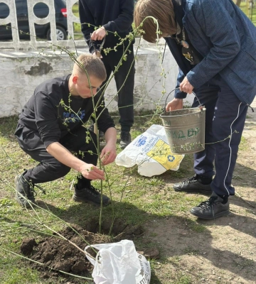 Щоб заквітло: у пам`ять про захисників в Здолбунові висадили декоративні кущі та дерева