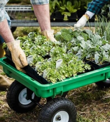 Де цими вихідними у Києві пройдуть продуктові ярмарки. Адреси