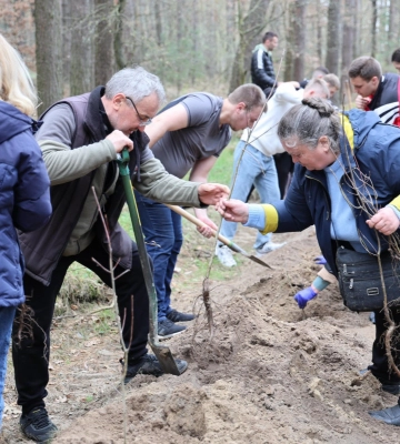 У Луцькому районі рідні полеглих Захисників висадили «Ліс Героїв» у пам&#039;ять про близьких (Фото)