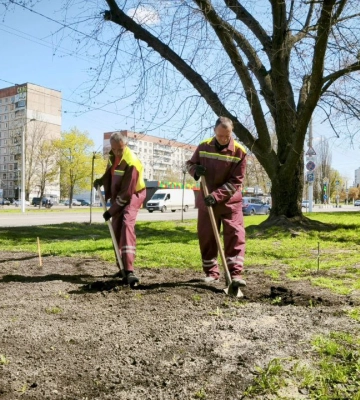 «Зелена весна» в Харкові: скільки квітів і дерев уже висадили двірники 
