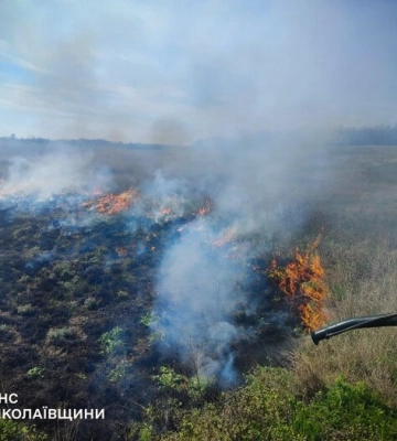 280 пожеж спалахнули у природних екосистемах за добу, найбільше на Київщині — ДСНС
