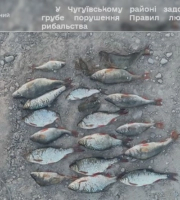 Збитки – майже 50 тисяч: на Харківщині піймали браконьєра з рибою та раками