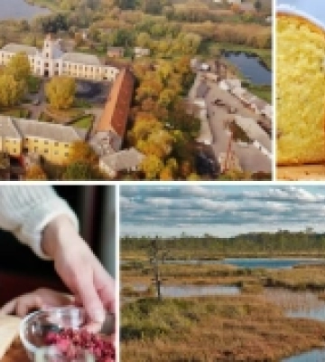 У Рівному за європейські кошти утеплюють ліцей (ВІДЕО)