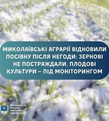Миколаївські аграрії відновили посівну після негоди: зернові не постраждали, плодові культури — під моніторингом