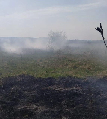 Вогонь сунув на ліс та будинки: у Луцькому районі горіли 3 гектари чагарників 