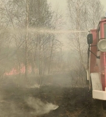 Вогонь сунув на ліс та будинки: у Луцькому районі горіли 3 гектари чагарників 