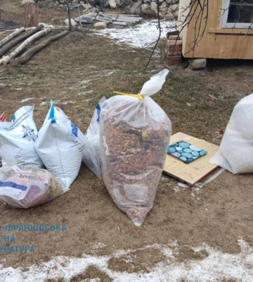 На Прикарпатті судитимуть учасників злочинної групи, які збували бурштин