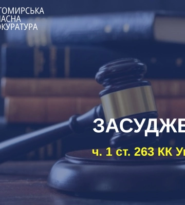 Мешканця Житомирщини засуджено за незаконний збут бойових гранат, - прокуратура
