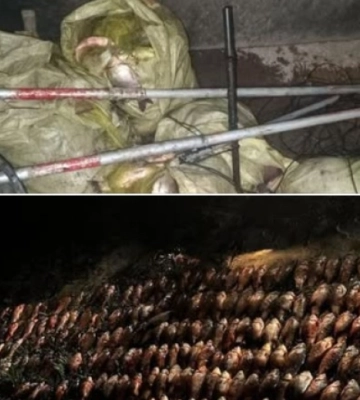 Водний патруль Дніпропетровщини виявив рибалок-браконьєрів