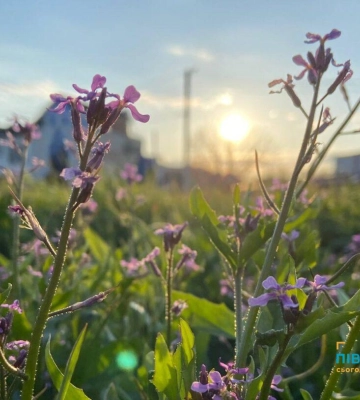 Якою буде погода на Великдень