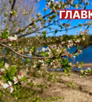 В Україні пригріє до +24°: прогноз погоди на 19 квітня