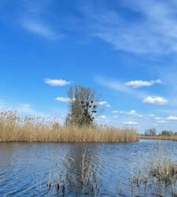 На Полтавщині прогнозують до 24º тепла