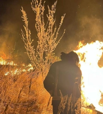 Горіли суха трава, чагарники, очерет: за добу на Волині загасили 13 пожеж