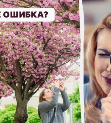 Треба знайти помилку в парку за 5 секунд: швидкий тест для перевірки рівня IQ