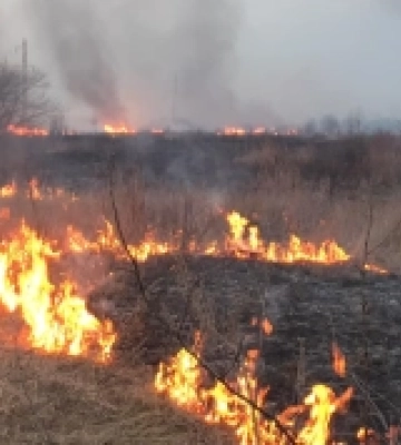 Горіли суха трава, чагарники, очерет: за добу на Волині загасили 13 пожеж