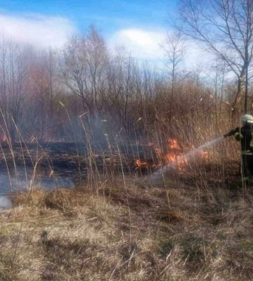 На Київщині внаслідок спалювання сухої рослинності загинуло двоє людей (ФОТО)