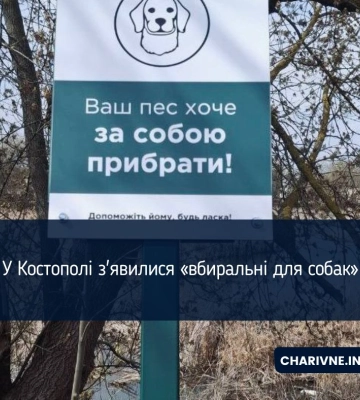 У Костополі з&#039;явилися «вбиральні для собак»