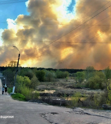 Пожежа в лісі під Балаклією поширилася вже на 60 га