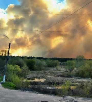 На Харківщині майже добу горить Балаклійське лісництво