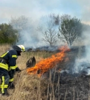 У селі на Волині пала суха трава