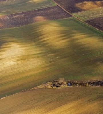 Аукціони з оренди сільгоспземель принесли понад 15 мільйонів гривень за тиждень