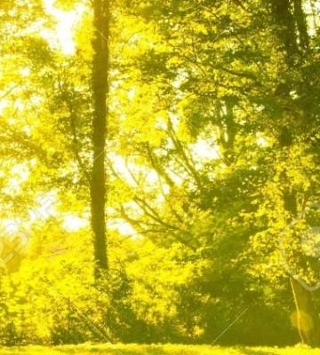 Одещина прогріється по-літньому: синоптики прогнозують до +25°C
