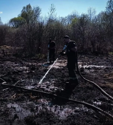 На Київщині другу добу гасять пожежу на торфовищі біля Гостомеля