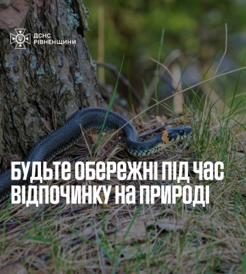 Обережно, плазуни: рятувальники Рівненщини застерігають мешканців області